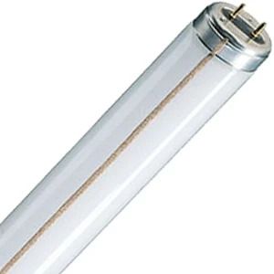 SPL G13 T12 TL-Buis | 40W 4000K 3350lm 840 | 1213mm