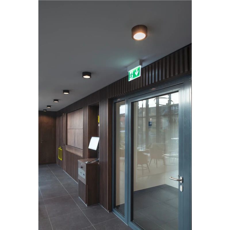 SLV LED Plafondlamp | 20W 3000K/4000K 1650lm 830/840 | IP20 DALI Dimbaar Zwart | FERA