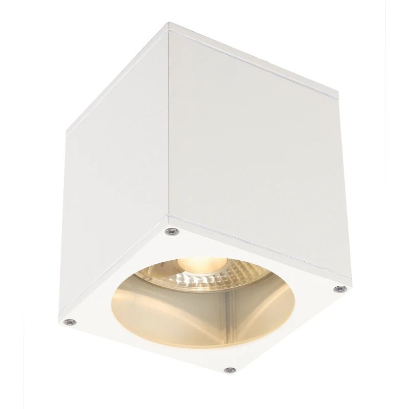 SLV LED Plafondlamp | 1X GU10 Max 75W  | IP44 Dimbaar Wit | BIG THEO