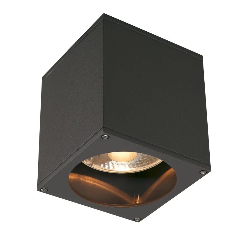 SLV LED Plafondlamp | 1X GU10 Max 75W  | IP44 Dimbaar | BIG THEO