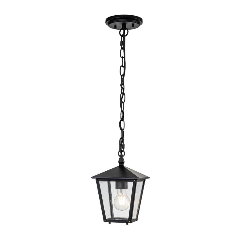 Hinkley LED Buiten Hanglamp Huntersfield | 1X E27 Max 60W | IP44 | Dimbaar | Black