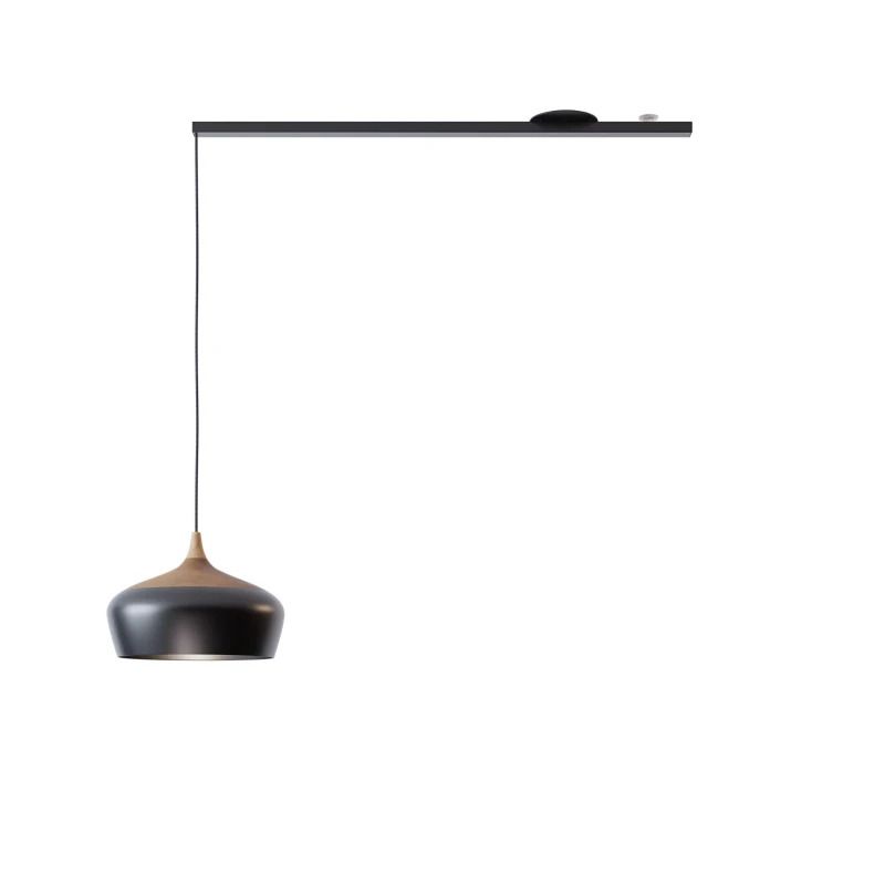 Lightswing Single Ophangsysteem | 110cm Mat Zwart | Geschikt voor 1 Hanglamp | Max 2.5kg