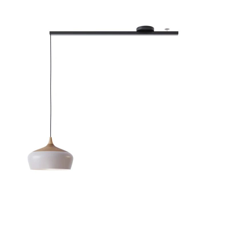 Lightswing Single Ophangsysteem | 110cm Mat Zwart | Geschikt voor 1 Hanglamp | Max 2.5kg