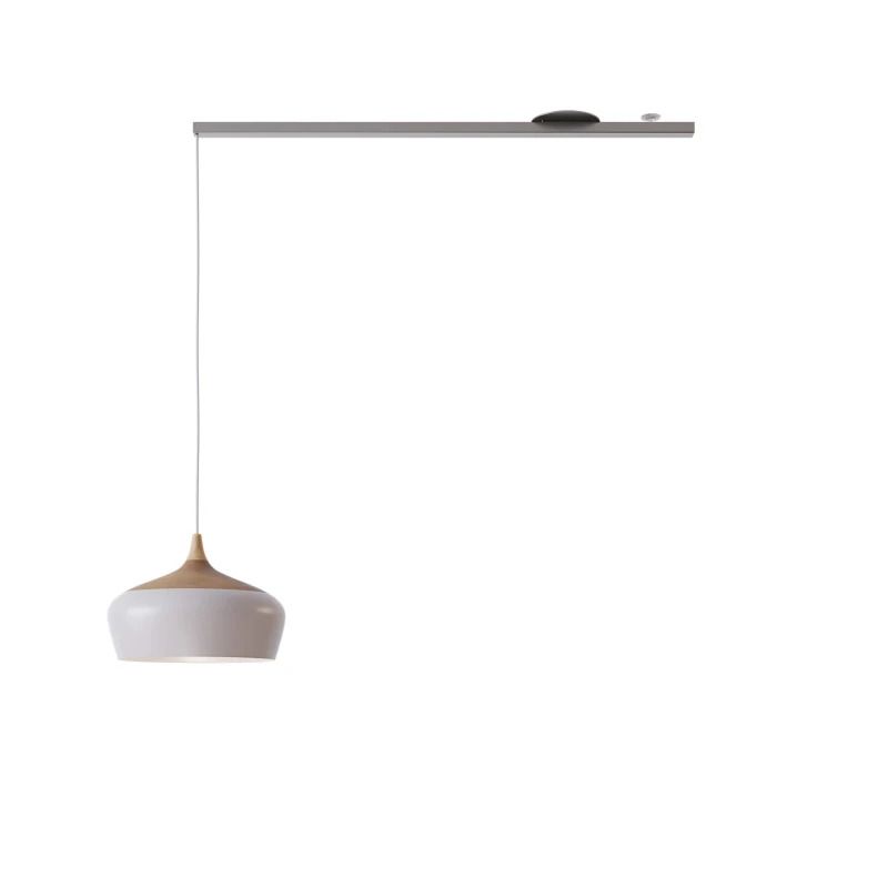 Lightswing Single Ophangsysteem | 110cm RVS | Geschikt voor 1 Hanglamp | Max 2.5kg