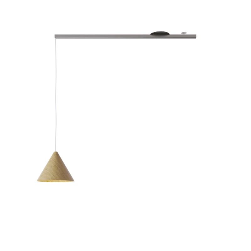 Lightswing Single Ophangsysteem | 110cm RVS | Geschikt voor 1 Hanglamp | Max 2.5kg