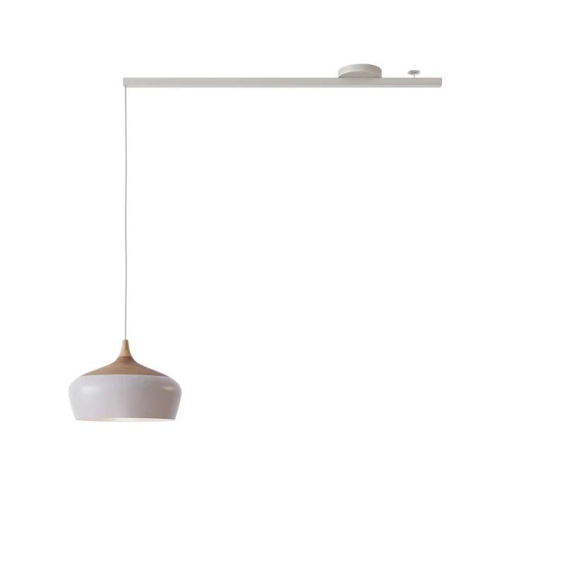 Lightswing Single Ophangsysteem | 110cm Mat Wit | Geschikt voor 1 Hanglamp | Max 2.5kg