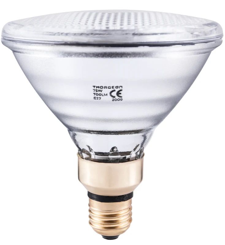 Thorgeon E27 PAR38 Halogeen Spot | 75W 230V 2700K 30° | Ø121mm Dimbaar