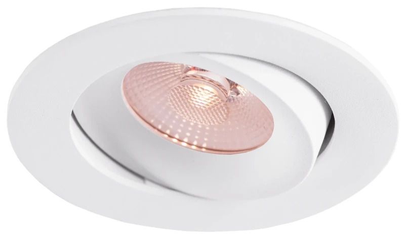 Thorgeon LED Downlighter Ø83mm | 10W 3000K/5700K 800Lm | 930/957 IP44 Dimbaar