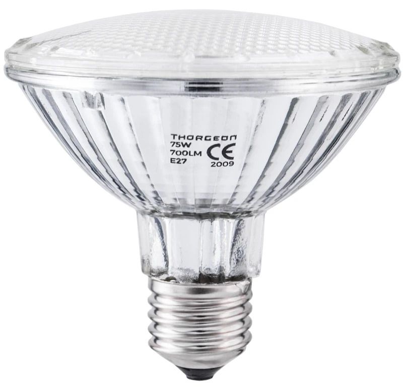 Thorgeon E27 PAR30 Halogeen Spot | 75W 230V 2700K 30° | Ø95mm Dimbaar