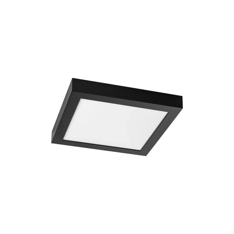 Prolumia Pro-Ceiling | |  IP40 | 40001288