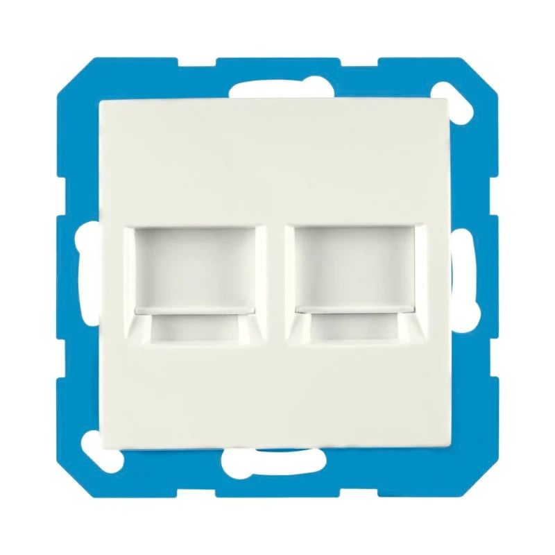 Ion Industries Modular Jack | Cat en Coax | 2-voudig met Centraalplaat E1 Alpin Wit