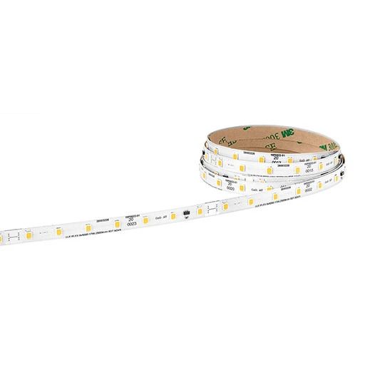 Tridonic LED Module | 6500K  28003219
