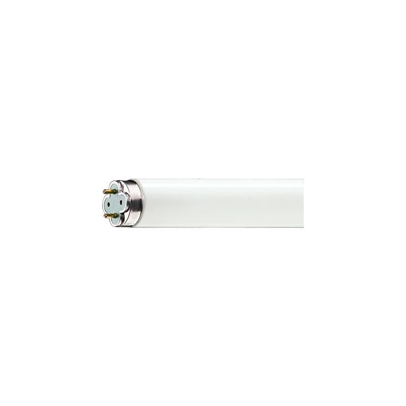 Philips G13 T8 TL-buis | 58W 6500K 5000lm 865 | 1510mm