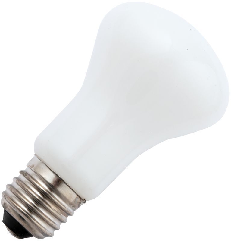 Schiefer halogeenlamp e27 krypton 70w T60x104mm 230v 2800K
