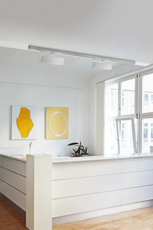 Eglo 3-Fase Rail | Trackspot | ALBAVILLA | LED 34W 20° 3000K zilvergrijs