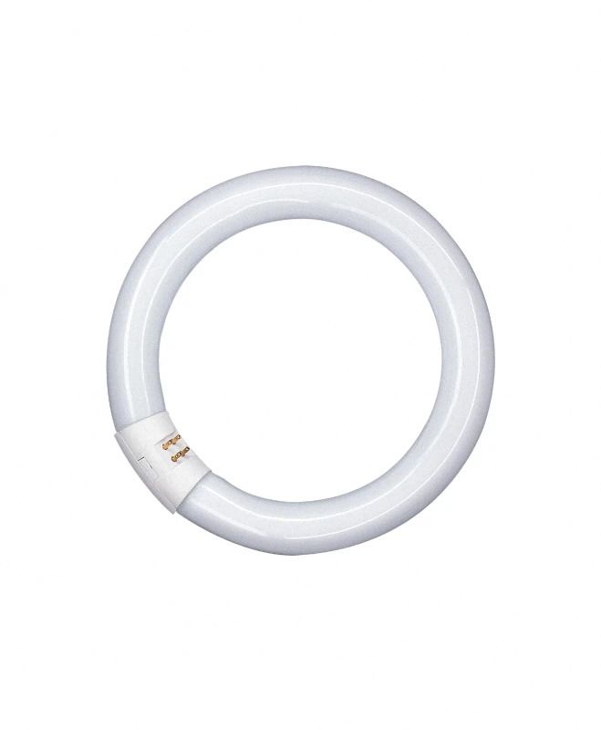 12x Osram G10q Ronde TL-buis | 32W 4000K 2100lm 840