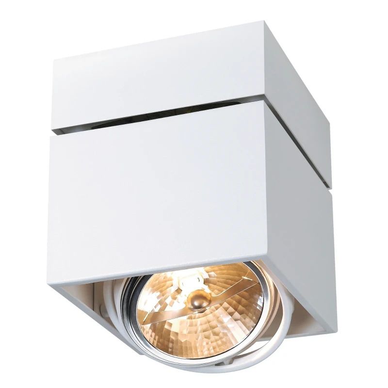SLV LED Plafondlamp | 1X G53 Max 75W  | IP20 Dimbaar Wit | KARDAMOD
