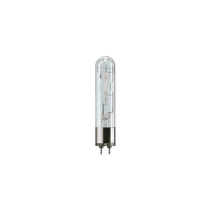 Philips PG12-1 HID Lamp | 60W 2500K 2500Lm 825 | MASTER