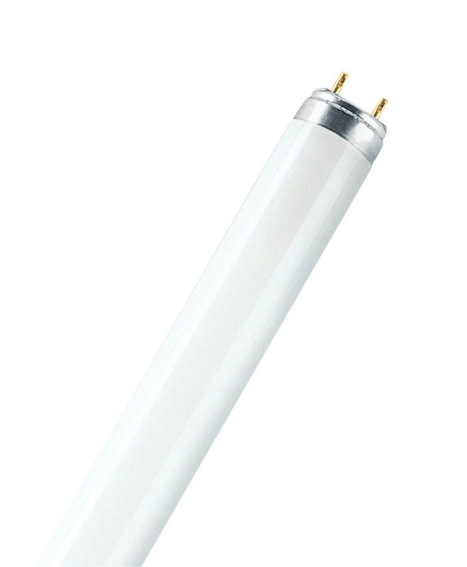 Osram G13 T8 TL-buis | 30W 6500K 2350lm 865 | 910mm