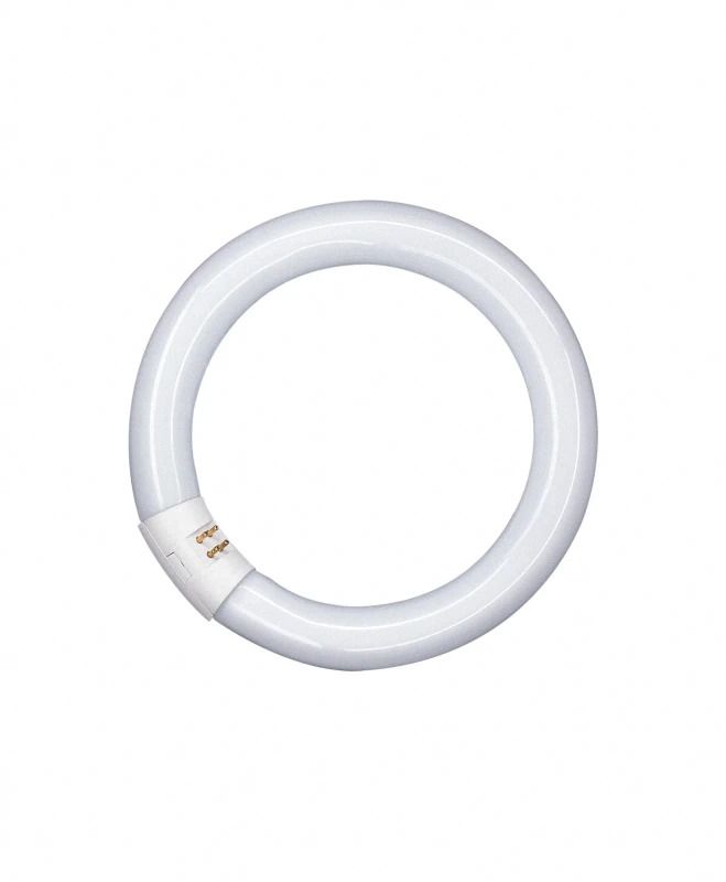 Osram G10q Ronde TL-buis | 40W 4000K 2900lm 840