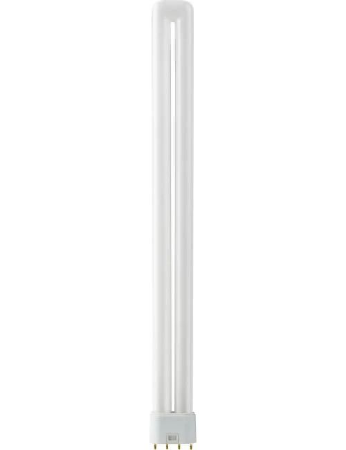 SPL 2G11 PL-L 4P Spaarlamp | 40W 830 3000K | 4-Pins