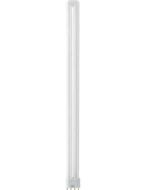 SPL 2G11 PL-L 4P Spaarlamp | 55W 840 4000K | 4-Pins