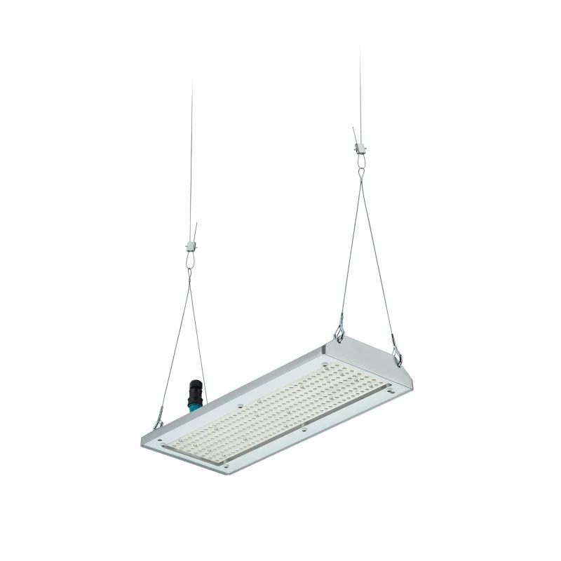 Philips High-bay | 97W 4000K 17000Lm 840 | IP65 Dimbaar | GentleSpace Gen4