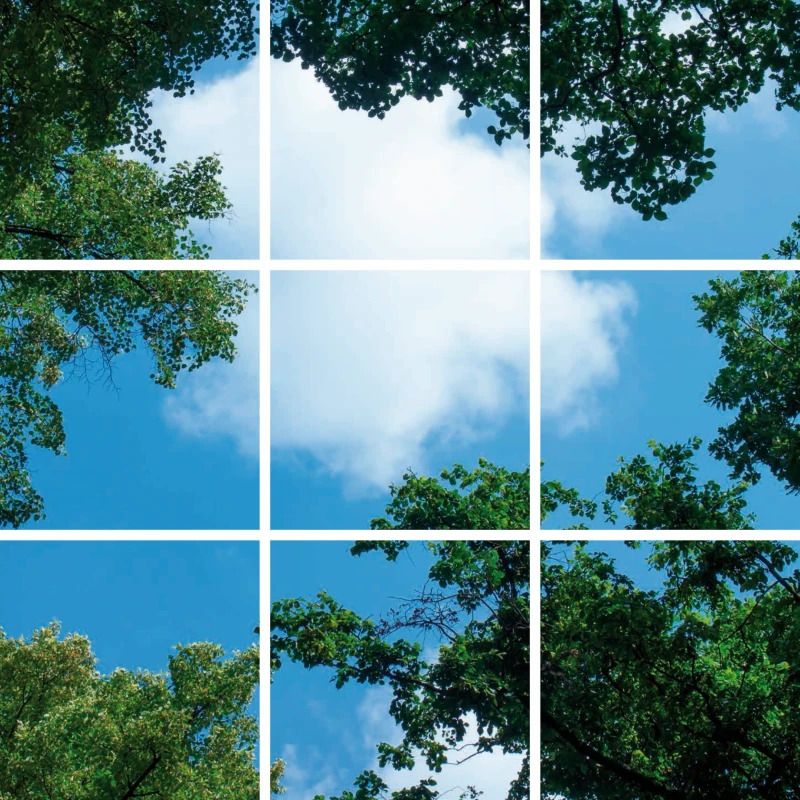 ELP Onderdeel | fotoprint afbeelding wolk bos | verdeeld over 9 panelen | 595 x 595 mm