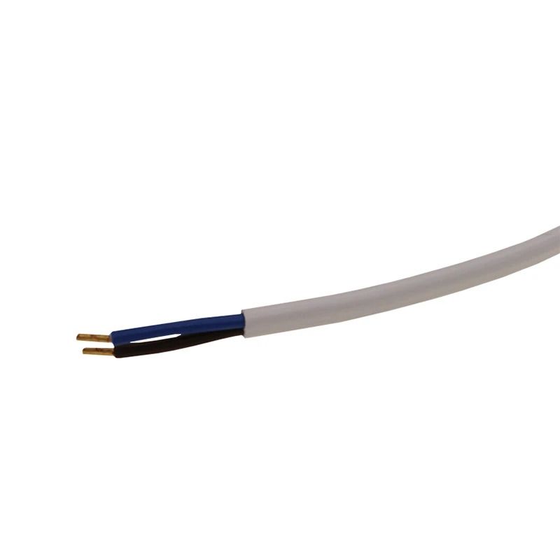 ELP Nood LED Inbouwspot Ø32/36mm | 1W 130Lm IP22