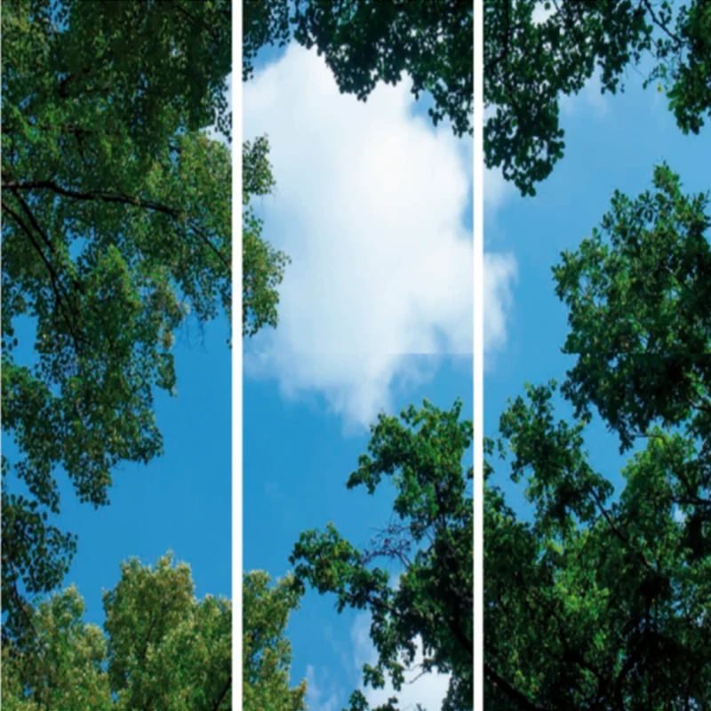 ELP Onderdeel | fotoprint afbeelding wolk-bos | verdeeld over 3 panelen | 1195 x 595 m