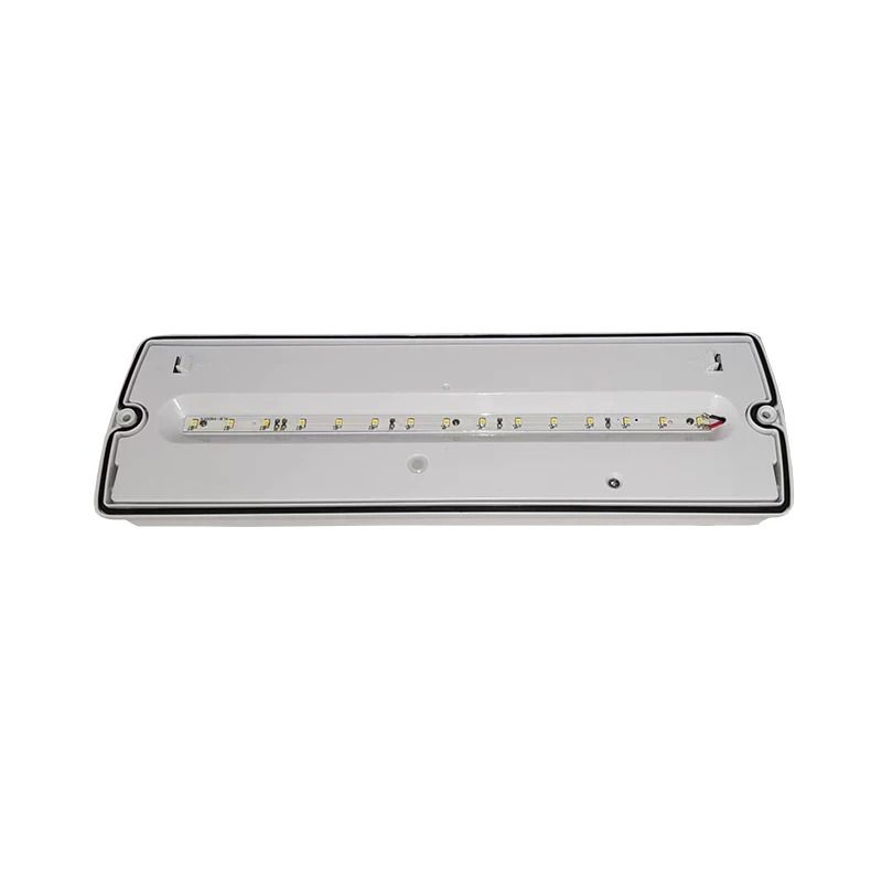 ELP Noodverlichting | pan 3w ip65