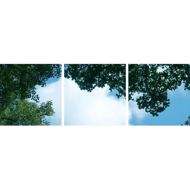 ELP Onderdeel | fotoprint afbeelding wolk-bos | verdeeld over 3 panelen | 595 x 595 mm