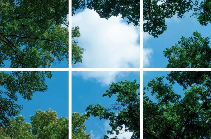 ELP Onderdeel | fotoprint afbeelding wolk-bos | verdeeld over 6 panelen | 595 x 595 mm