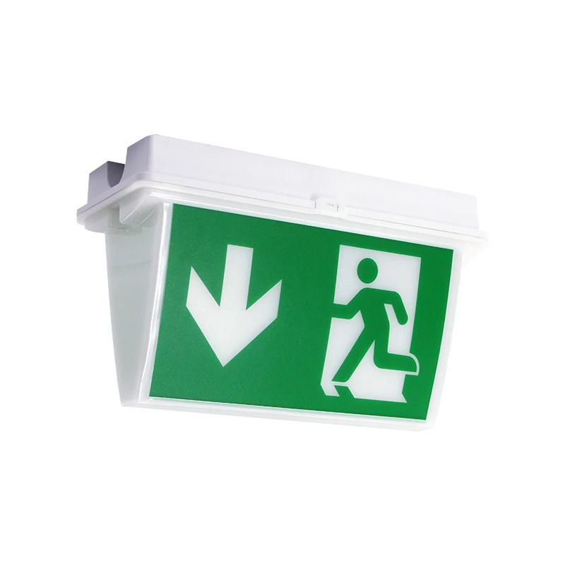 ELP opbouw Noodverlichting | trinculo