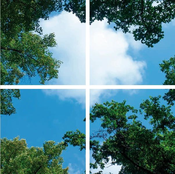 ELP Onderdeel | fotoprint afbeelding wolk-bos | verdeeld over 4 panelen | 595 x 595 mm