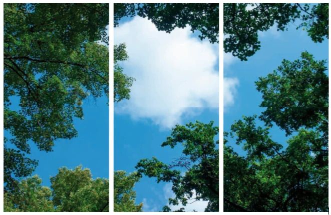 ELP Onderdeel | fotoprint afbeelding wolk-bos | verdeeld over 3 panelen | 1195 x 595 m