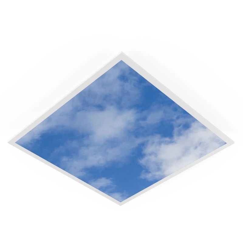 Ledvance LED Paneel 60X60CM | 33W 3630lm 8 | IP40