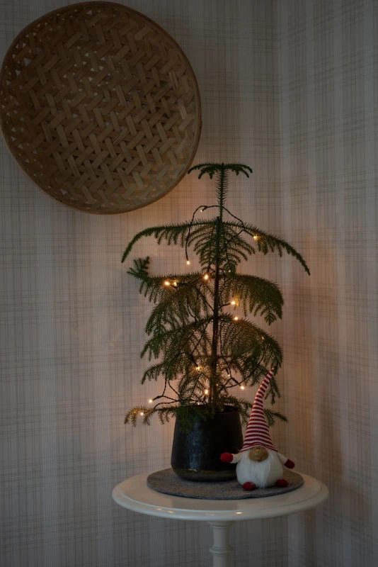 Konstsmide Lichtketting | 20 Lichtpunten, Extra Warmwit | 2,85m, 15cm spacing, 6u timer | 2x AA Batterij, Binnen, Groene kabel