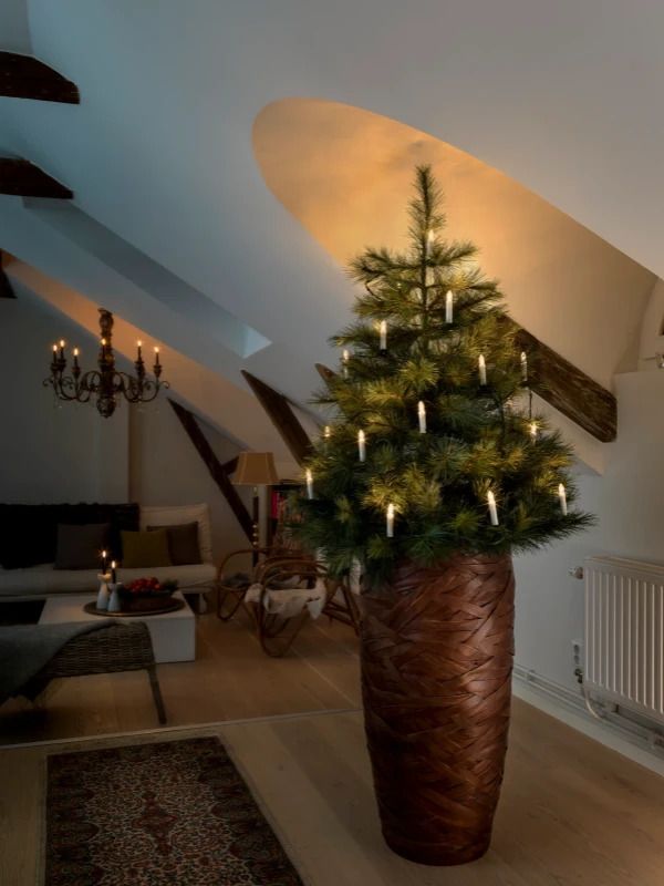 Konstsmide LED Boomkaarsensnoer Lichtketting | 25 Lichtpunten Druipkaarsen 1.5W 230V uitwisselbaar | Binnen | 9.6m, spacing 40cm, groene kabel, luxe knijper