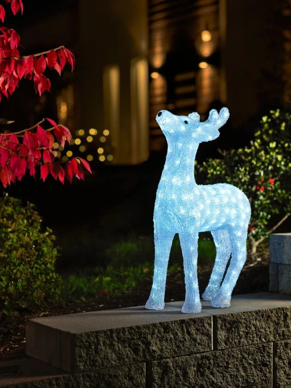 Konstsmide LED Acryl Rendier Decoratie | 10,56W 176 Lichtpunten Koelwit 24V | 60x36cm | Buiten IP44 | 5m aansluitsnoer, niet uitwisselbaar