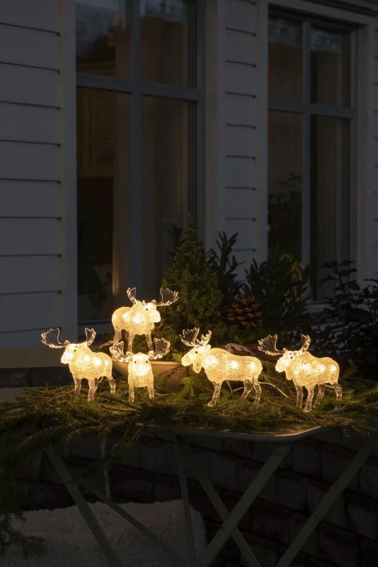 Konstsmide LED Decoratie Set | 5 Elanden | 40 Lichtpunten 1.2W 24V Warm Wit | 4m wit snoer | 5m aansluitsnoer | Buiten geschikt
