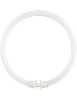Schiefer 2GX13 T5 TL-Buis | 22W 3000K 1500lm 830 | 230mm