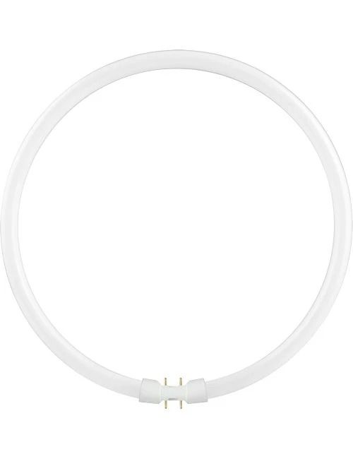Schiefer 2GX13 T5 TL-Buis | 40W 4000K 2500lm 840 | 305mm