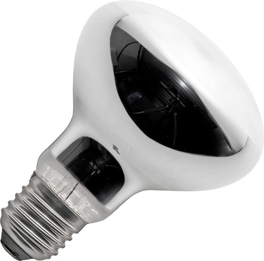 Schiefer led filament e27 r80 6.5w 80x110mm 2500k helder dimbaar