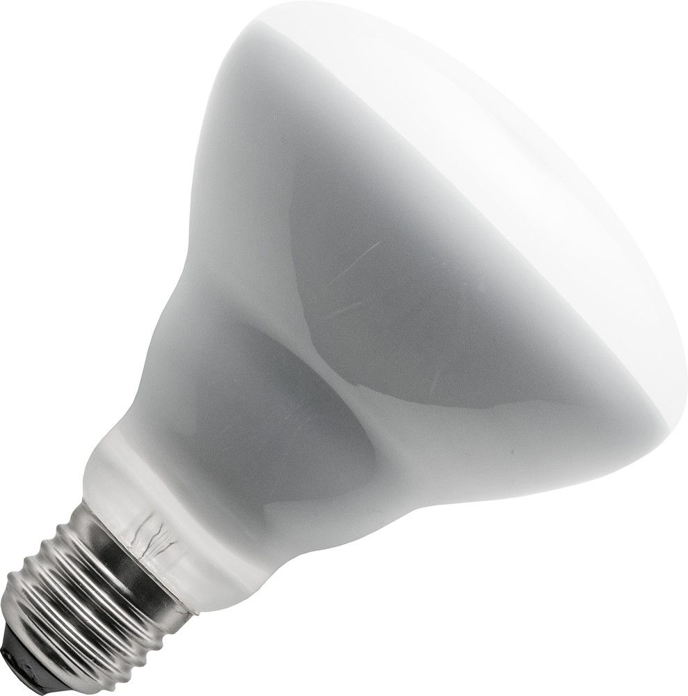 Schiefer led filament e27 r95 6.5w 95x125mm 2500k helder dimbaar