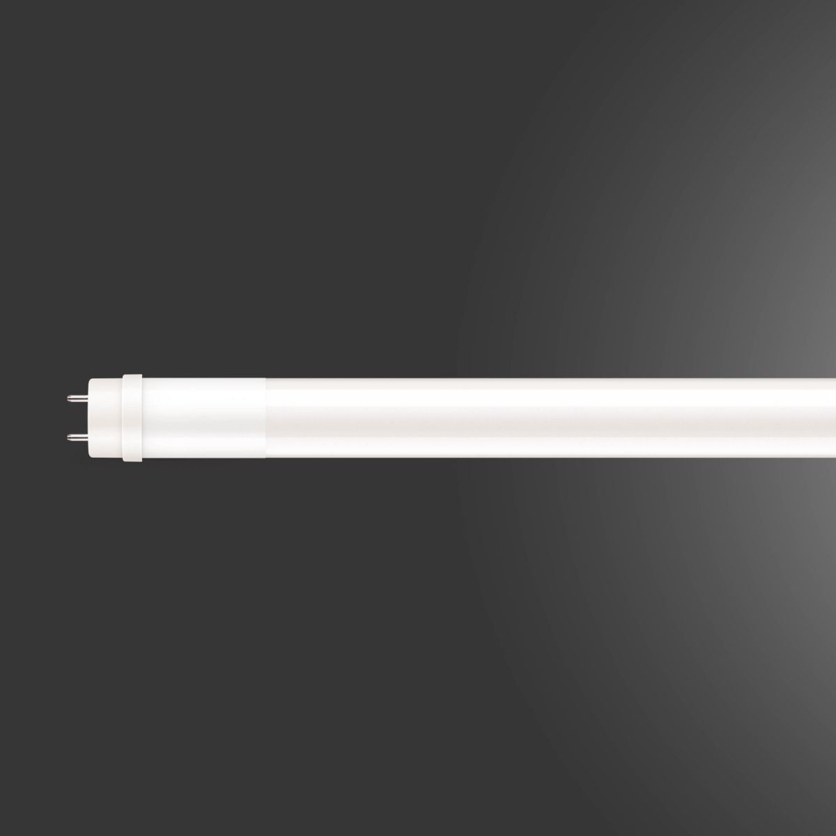 T8 LED Buis 150cm | 20W 4000K 2200Lm 840 Mat | Mazda