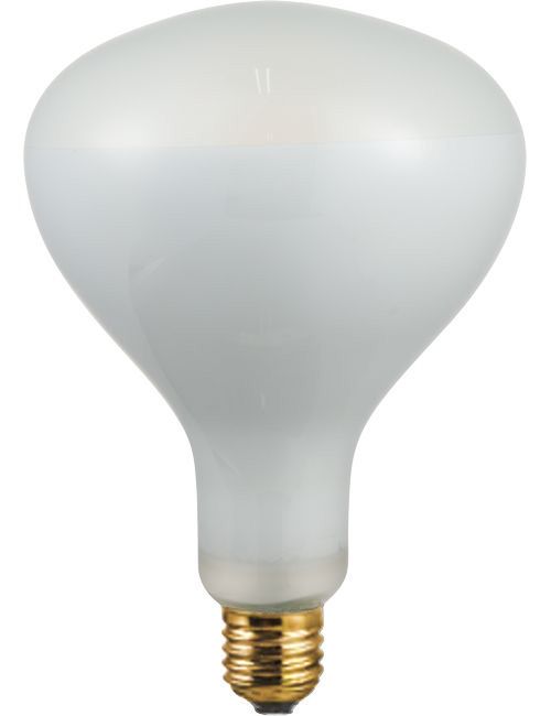 Pope Lucius E27 LED reflector Fila Lucius R125x182mm 750Lm 8.5W 2700K 827 Frosted 230V Dim