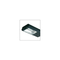 Sylvania YAREN HSI-THX 250W extensief +lamp