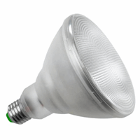 Megaman LED PAR38 16/100W 35G2800