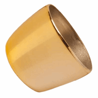 Megaman GOUDEN RING TBV KAARS FIL